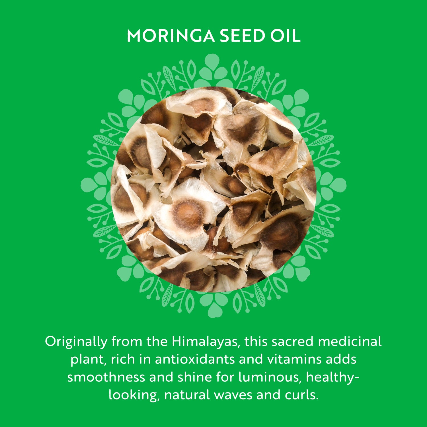 Combo Freedom, con Aceite de Semilla Moringa e IMPOSSIBLE KERATIN™
