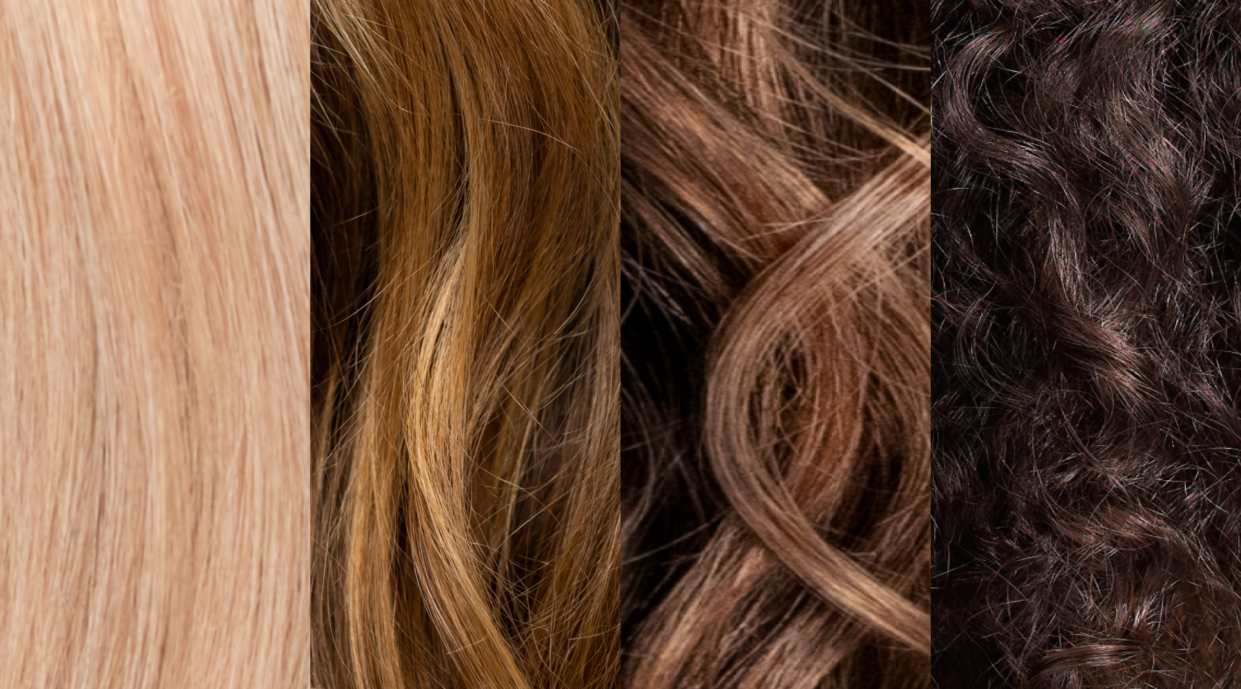 The Ultimate Guide to the 4 Hair Types